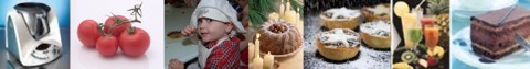Thermomix TM31 Recipes and Blog